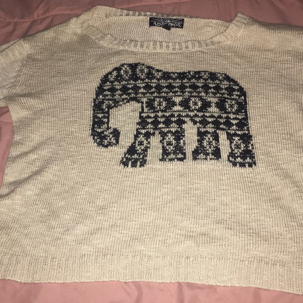 This is a cropped sweater shirt